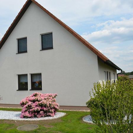 Ferienwohnung Starke Gablenz Zewnętrze zdjęcie