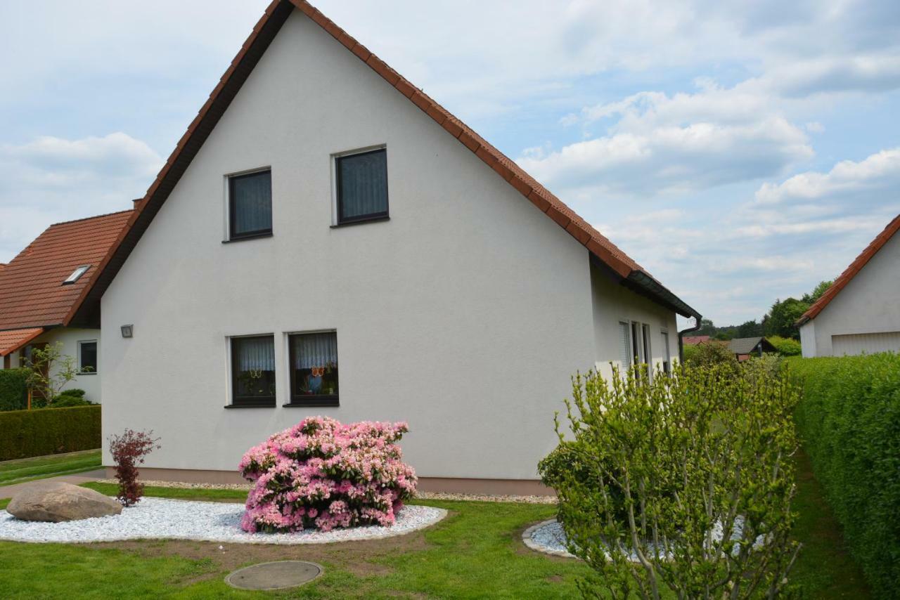 Ferienwohnung Starke Gablenz Zewnętrze zdjęcie